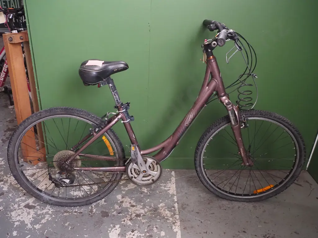 Giant Branded Bicycle Image 1++