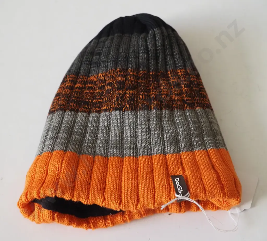 Dex Shell Beanie Image 1++
