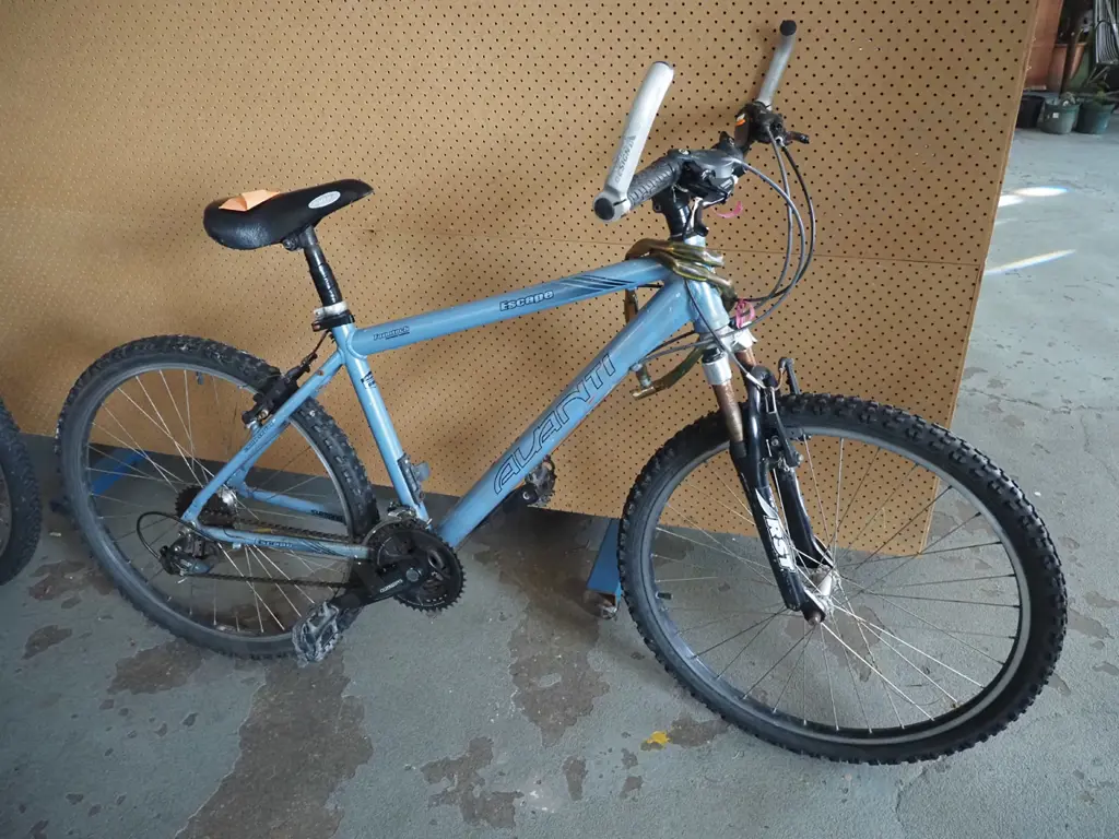Blue/grey Avanti Escape, knobbly tyres and black saddle Image 1++