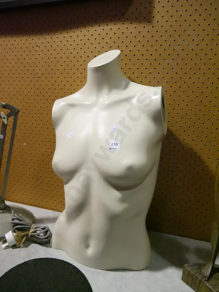 female shop torso H-550 Image 1++