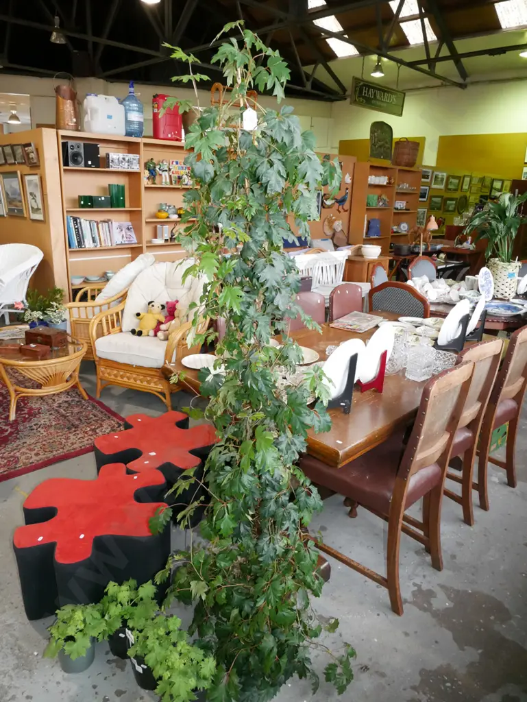 tall potted indoor plant H-1800 Image 1++