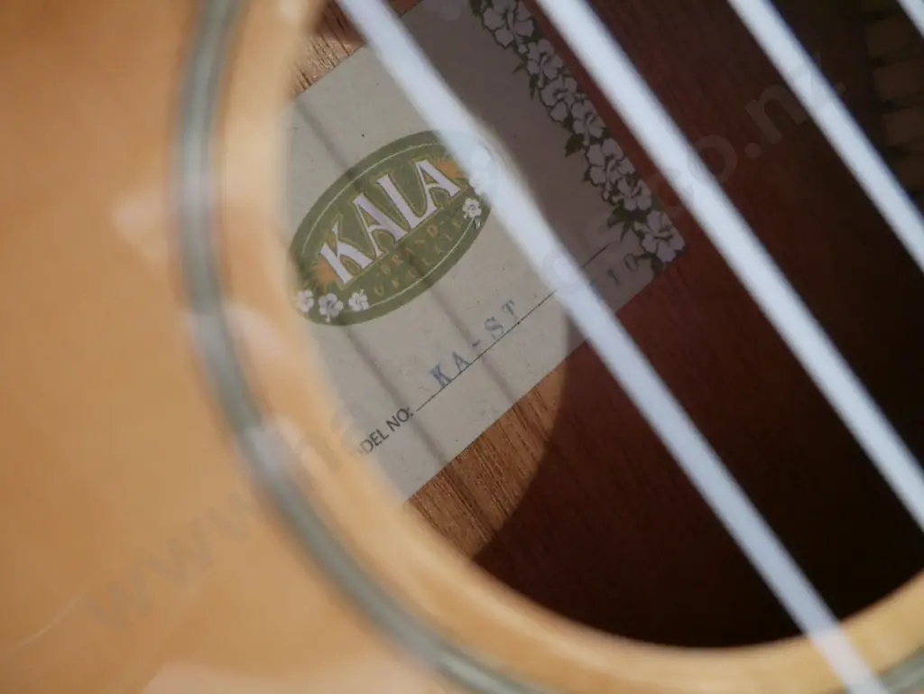 Kala ukulele with padded case & tuner Image 1++