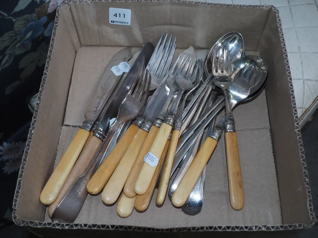 box; spoons, bone handled fish set Image 1++