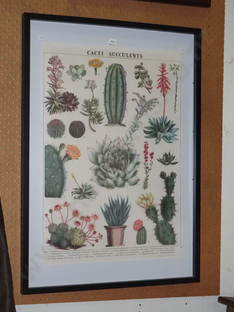 cacti, succulents print in poster frame Image 1++