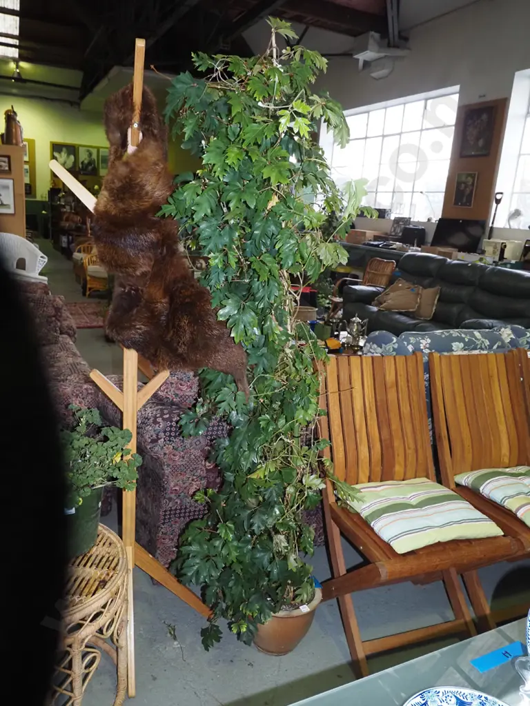 tall potted indoor plant H-1800 Image 1++