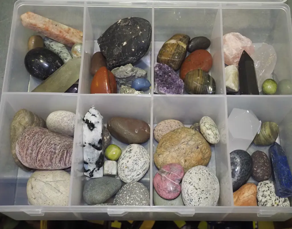 plastic organiser, polished and unpolished stones Image 1++