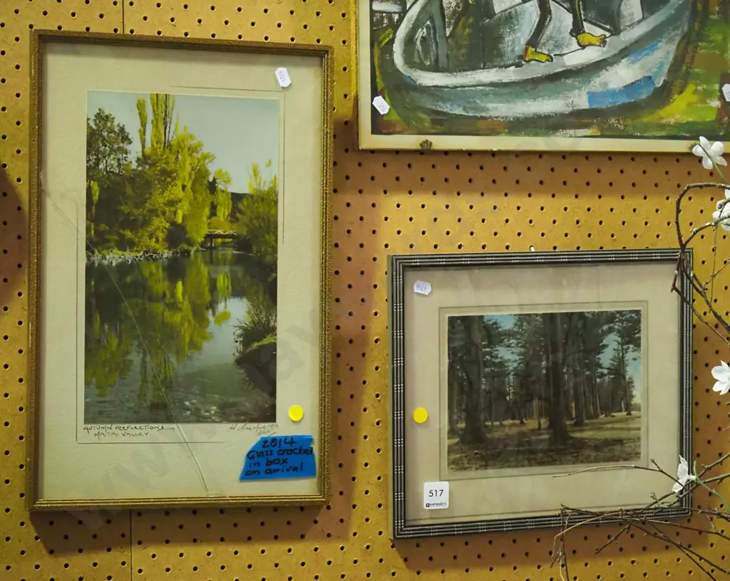 hand coloured photos Matai Valley - crack to glass, pine trees - yellow dots Image 1++