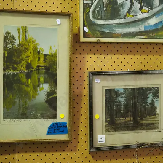 hand coloured photos Matai Valley - crack to glass, pine trees - yellow dots