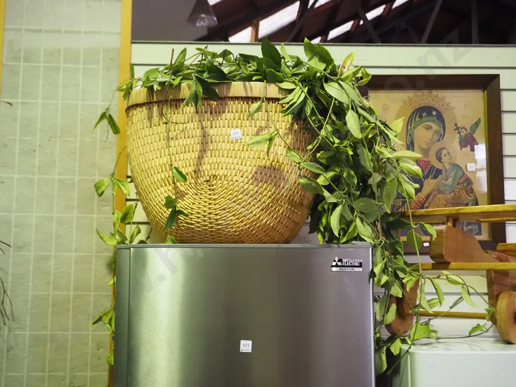 large hoya carnosa in cane basket Basket H-400 Image 1++