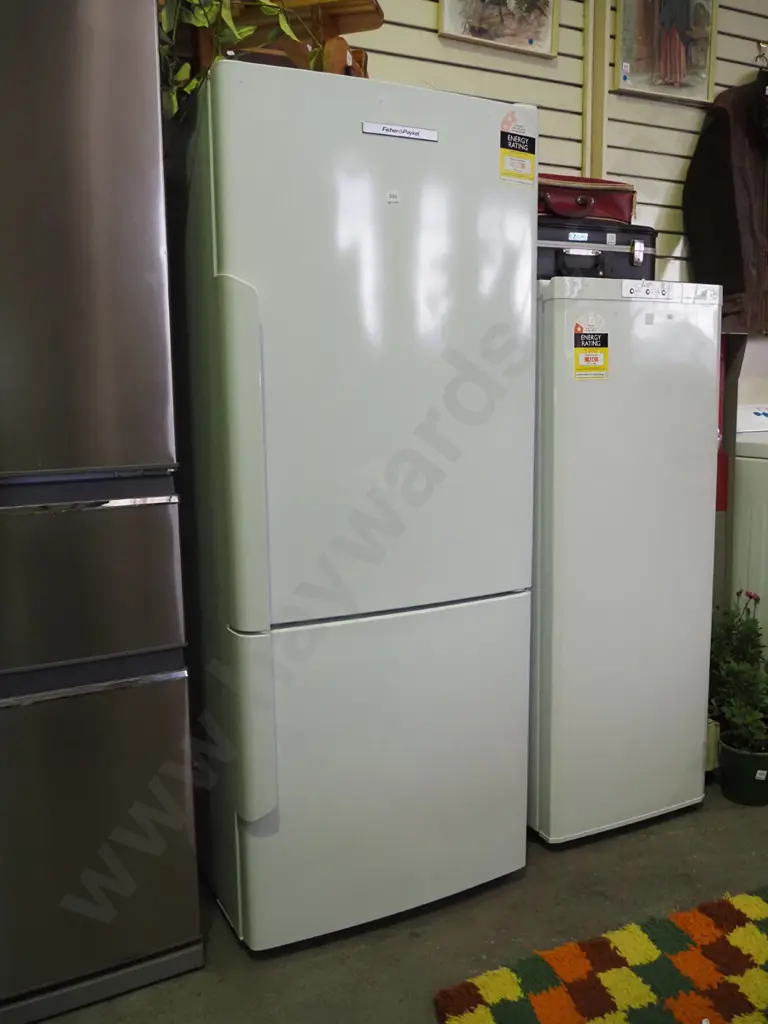 F&P fridge/freezer H-1600 W-635 D-660 Image 1++