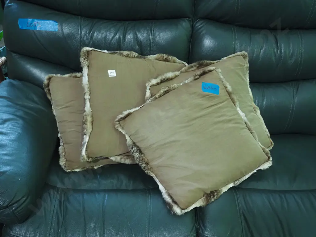 4x fur rimmed cuchions Image 1++