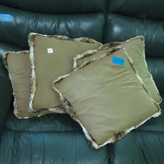 4x fur rimmed cuchions