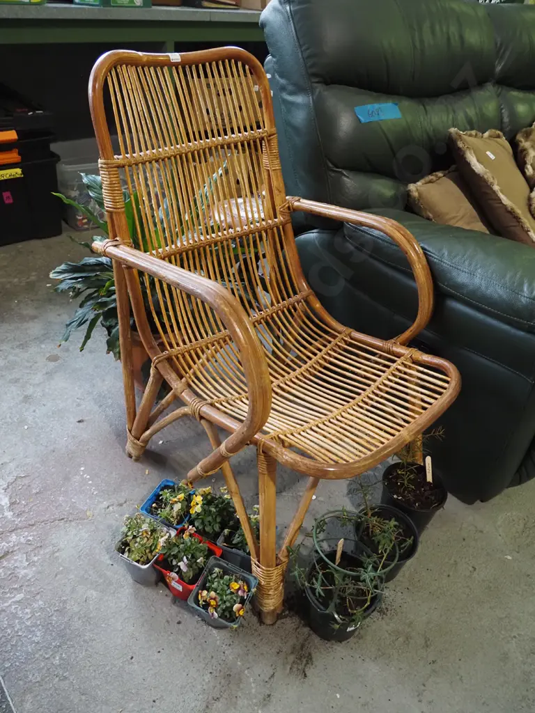 bamboo armchair Image 1++