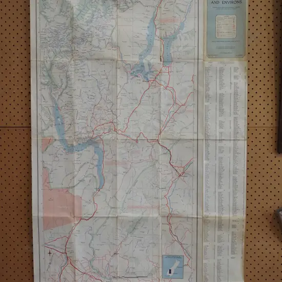 retro wall map - Lake Wakatipu and environs