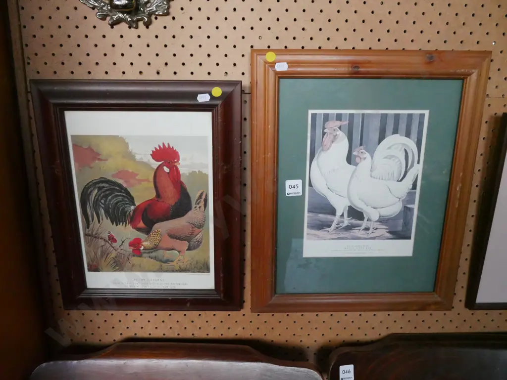 2 framed poultry prints - yellow dots Image 1++