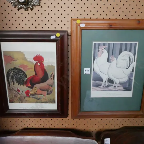 2 framed poultry prints - yellow dots