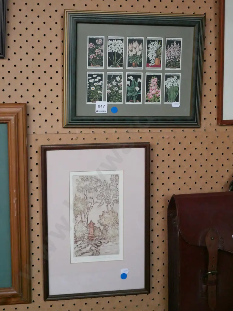 framed floral cigarette cards and a framed artist's proof garden scene - blue dots Image 1++