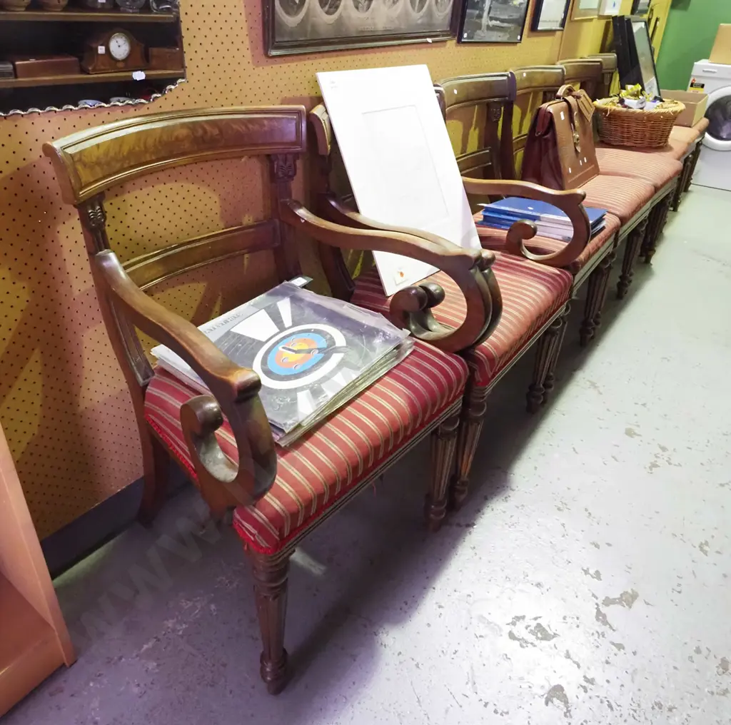 8 mahogany Georgian style dining chairs incl. 2 carvers - upholstery stained, needs attention Image 1++