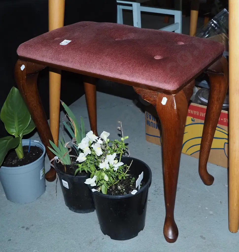 mahogany cab-leg deep button upholstered piano stool Image 1++