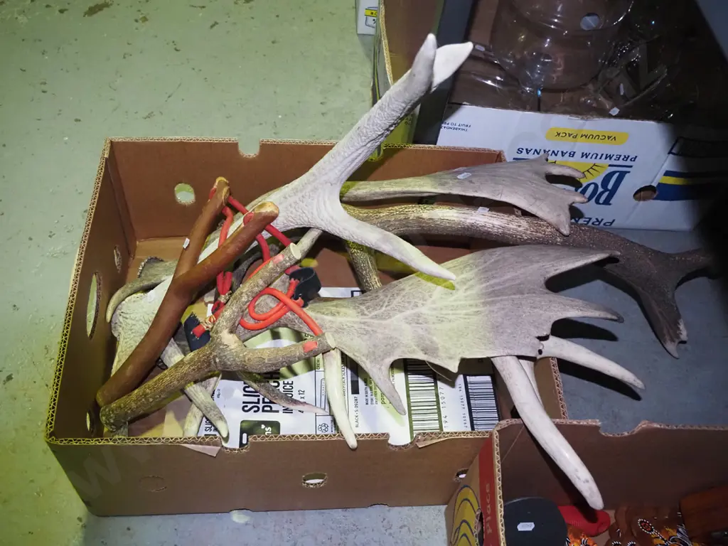box of antlers, 2 wooden slingshots Image 1++