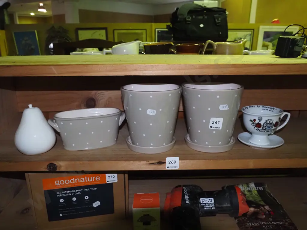 planters, ornamental pear, cup & saucer Image 1++