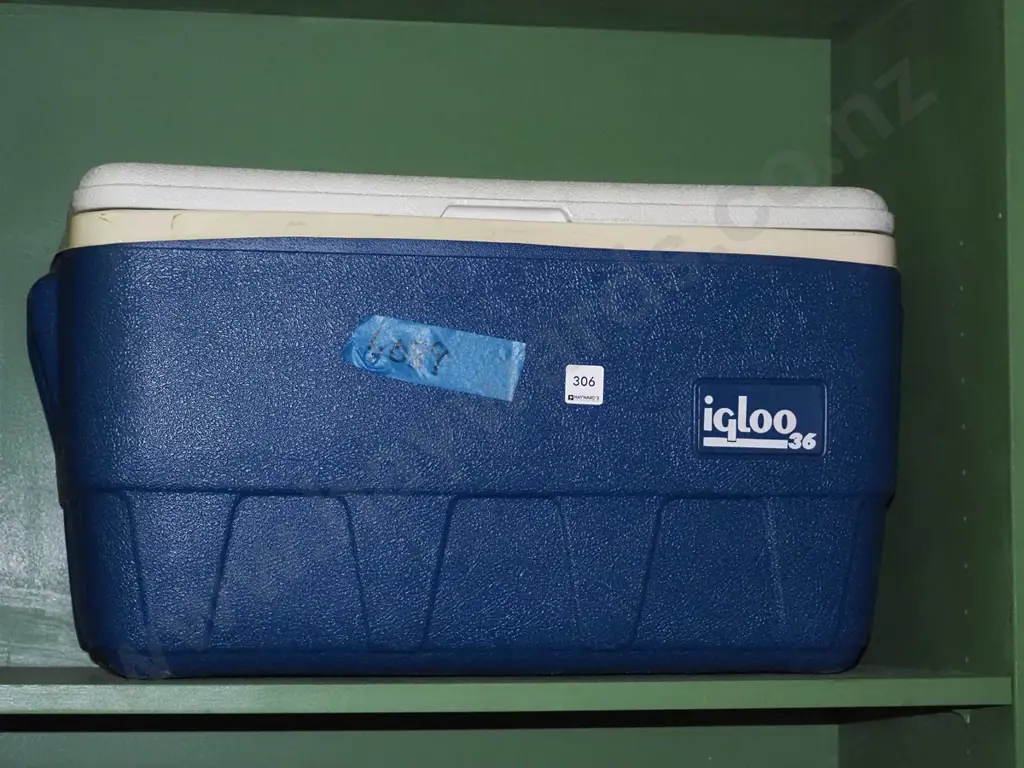 Igloo 36 chilly bin Image 1++