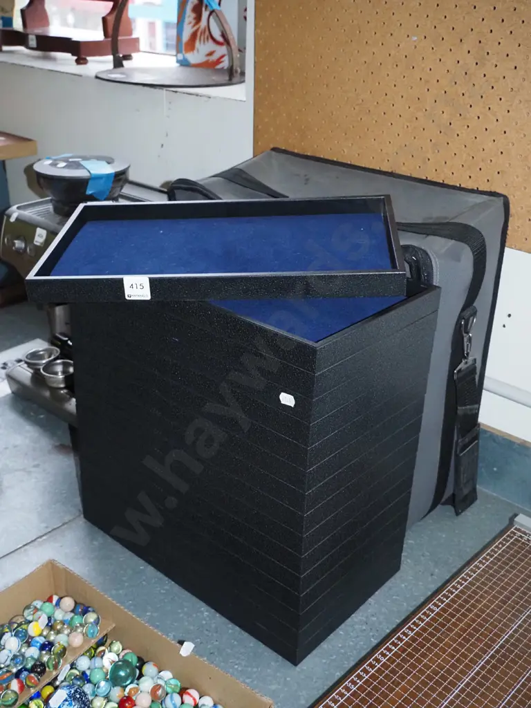16  plastic and velvet display trays in canvas carry case Image 1++
