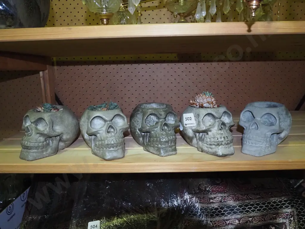 5 skull themed planters - 3 with succulents Image 1++