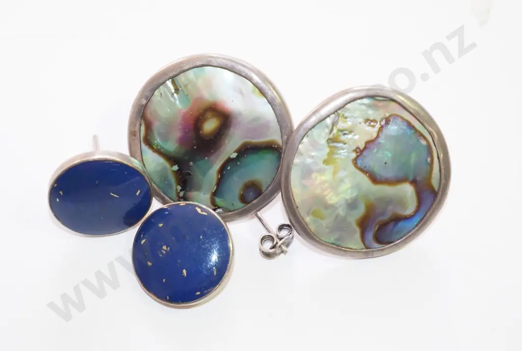 paua shell and other earrings Image 1++