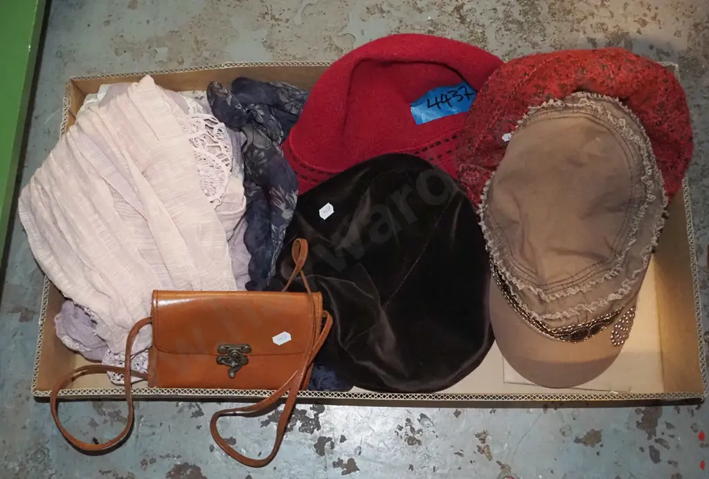 box; small purse, scarves, hats Image 1++