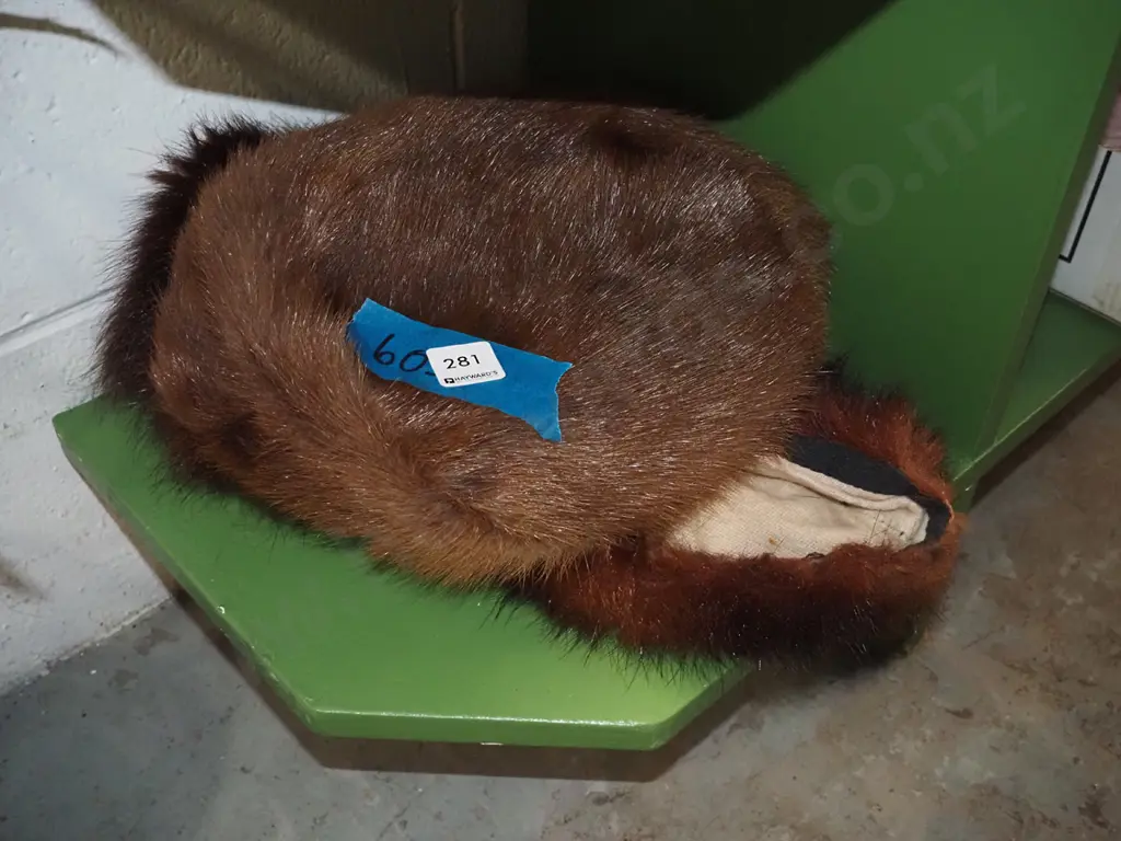 faux fur hat and stole Image 1++