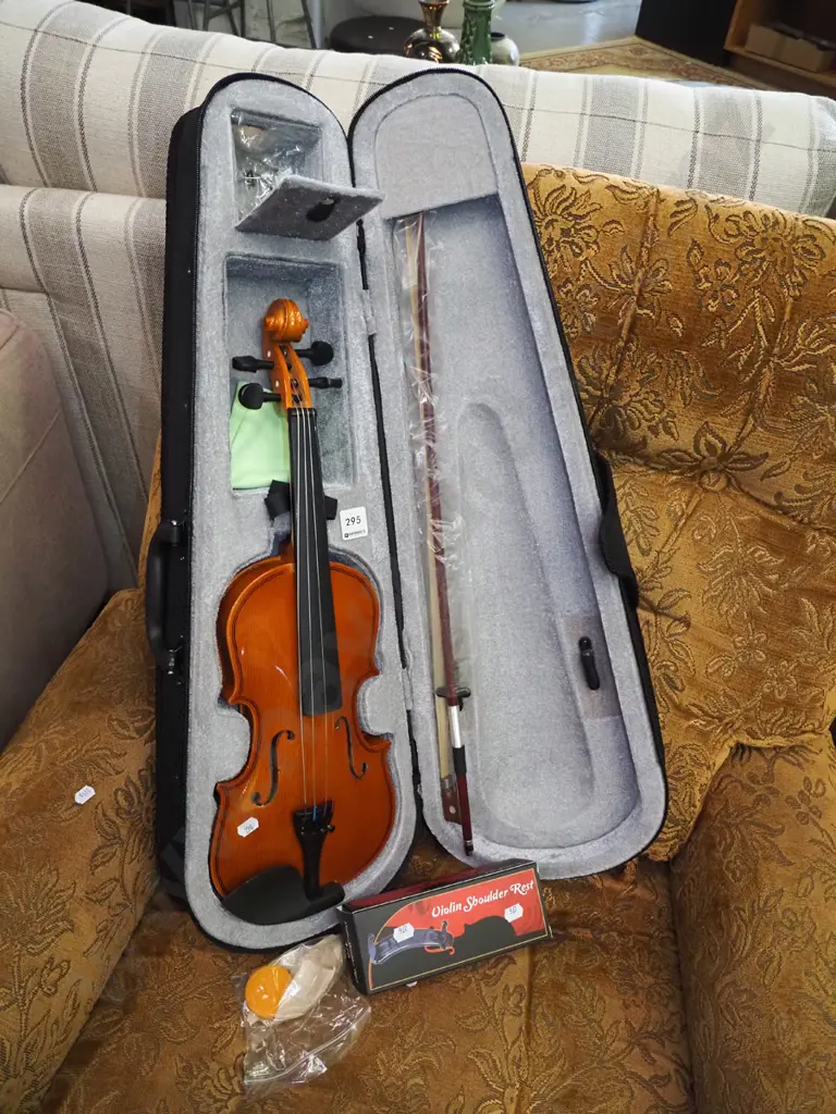 cased violin and bow Image 1++