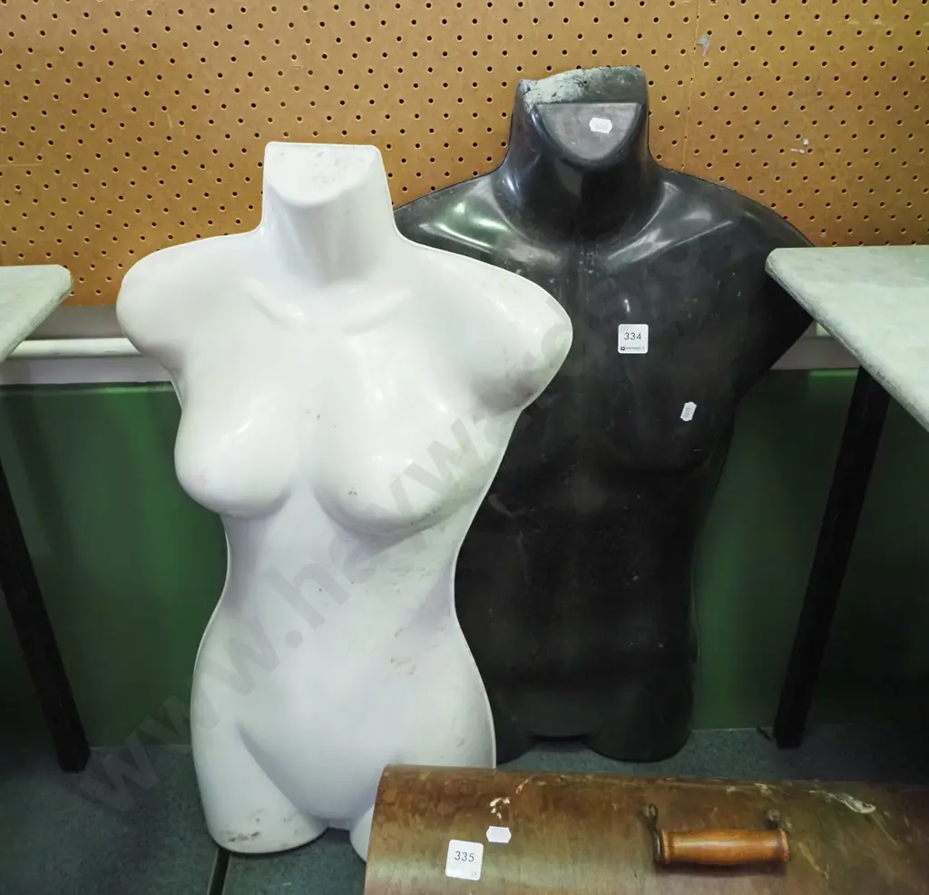 2 plastic shop mannequin half torsos Image 1++