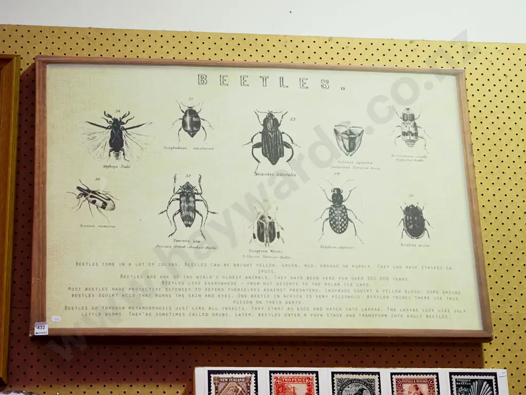 framed Beatles print on canvas Image 1++