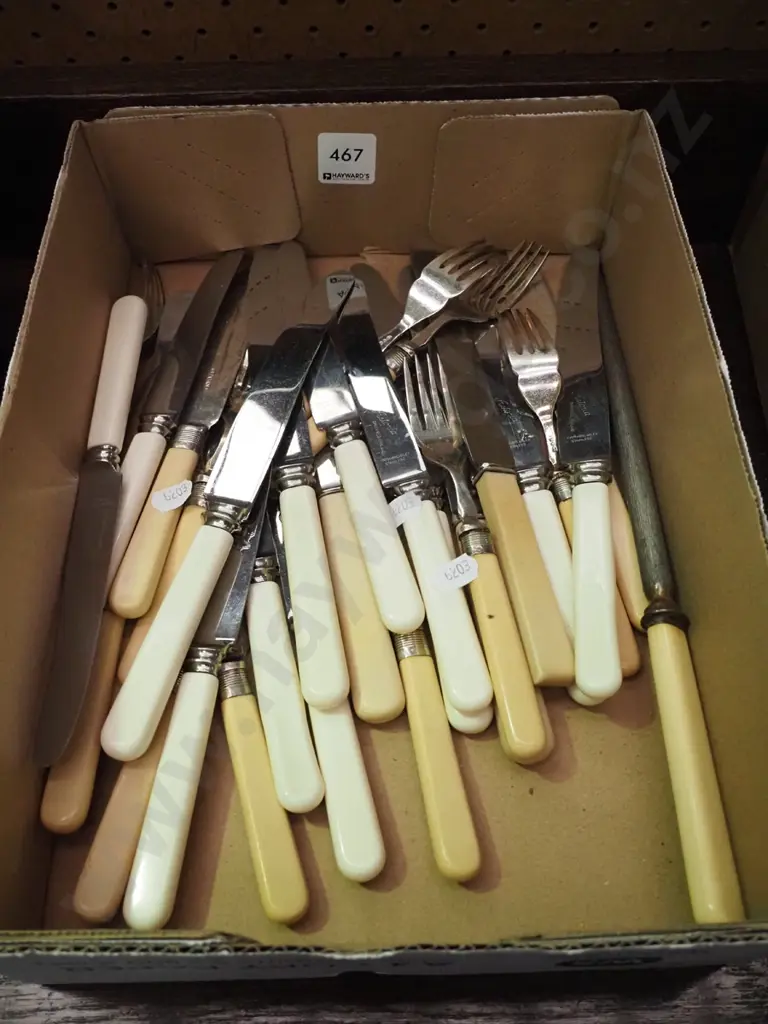 box of bone handled knives Image 1++