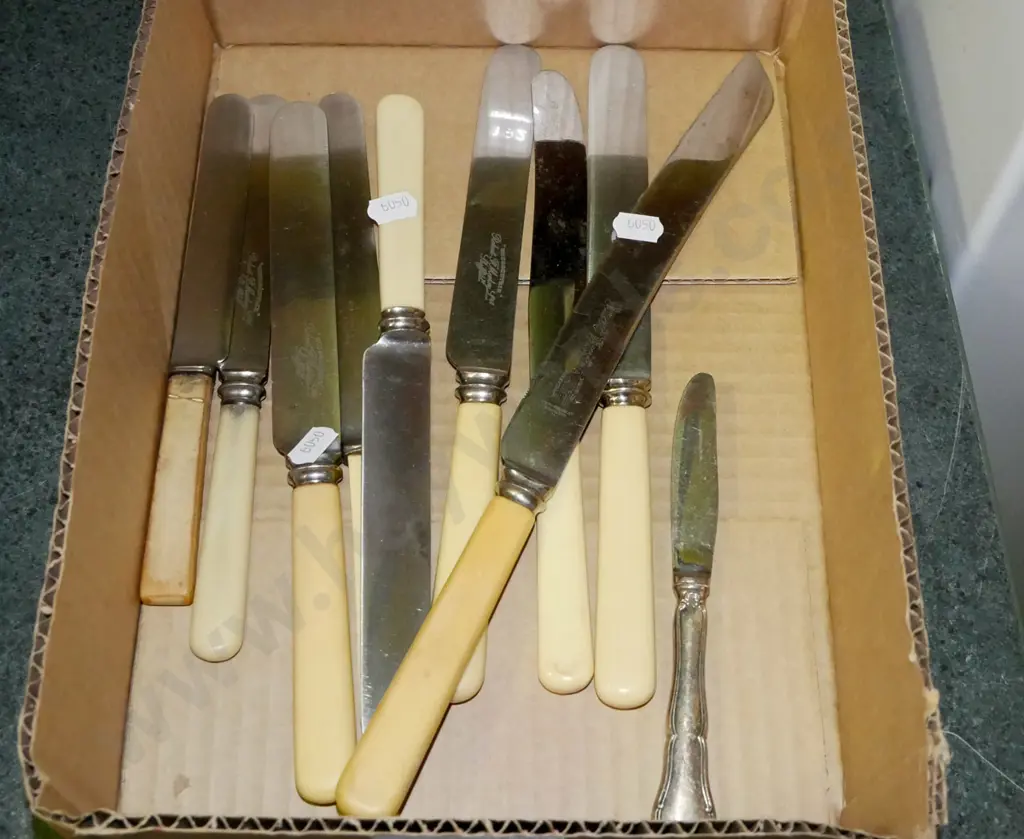 bone handled knives Image 1++