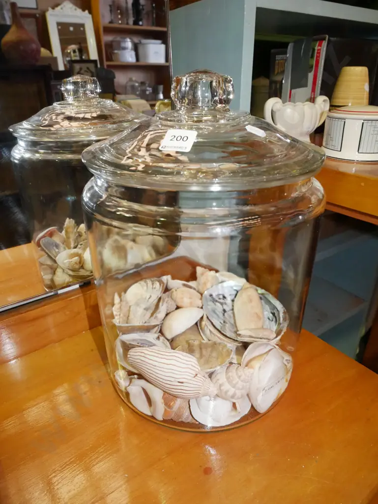 large glass lidded jar with seashells H-330 Image 1++