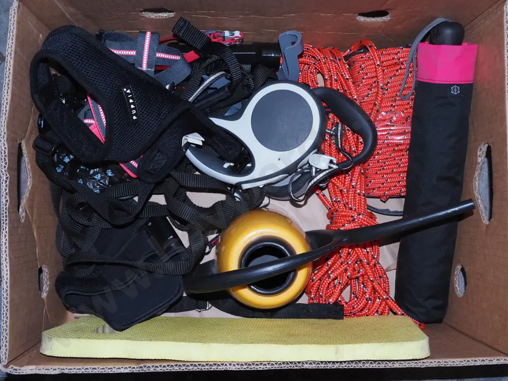 box; ropes, small watering can, dog leads, harnesses etc Image 1++