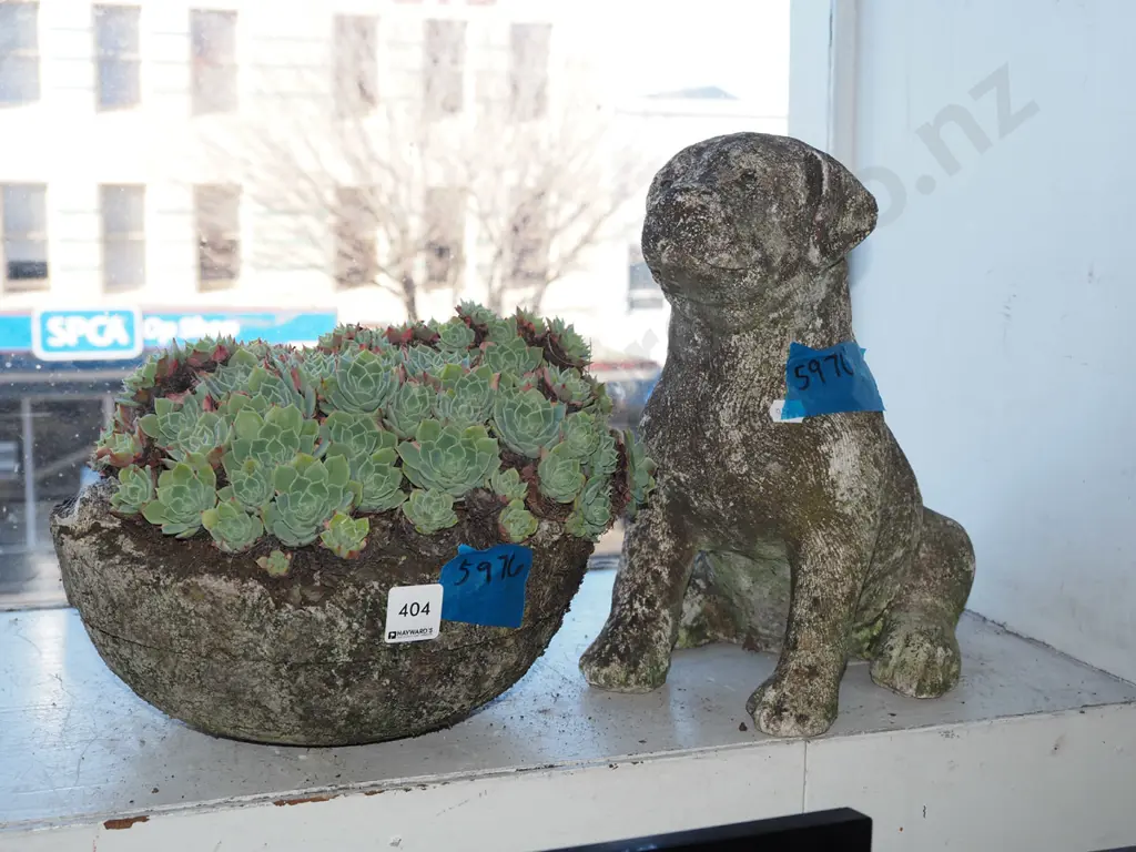 concrete graden dog figurine, planter and succulents Dog H-290 Image 1++