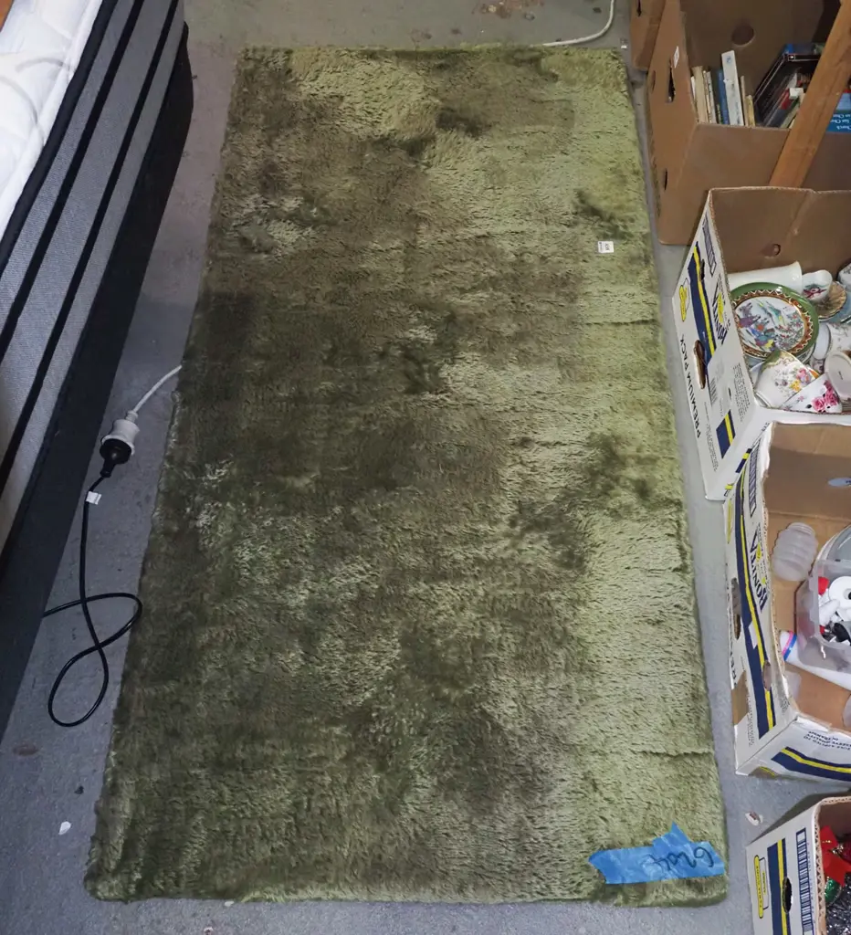 green floor rug L-1560 W-750 Image 1++