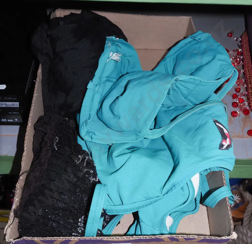 box; vintage togs, scarves Image 1++