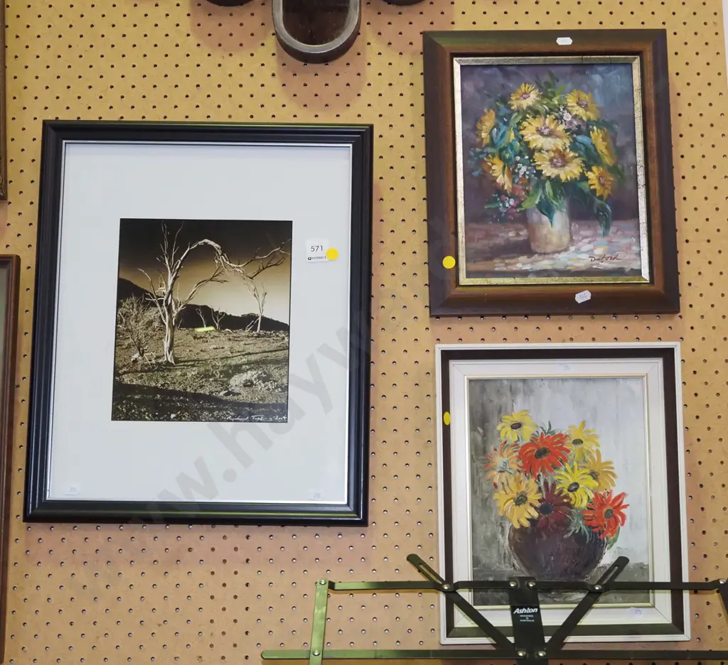 2x framed oils on board - flowers, framed photograph - dead trees - yellow dots Image 1++