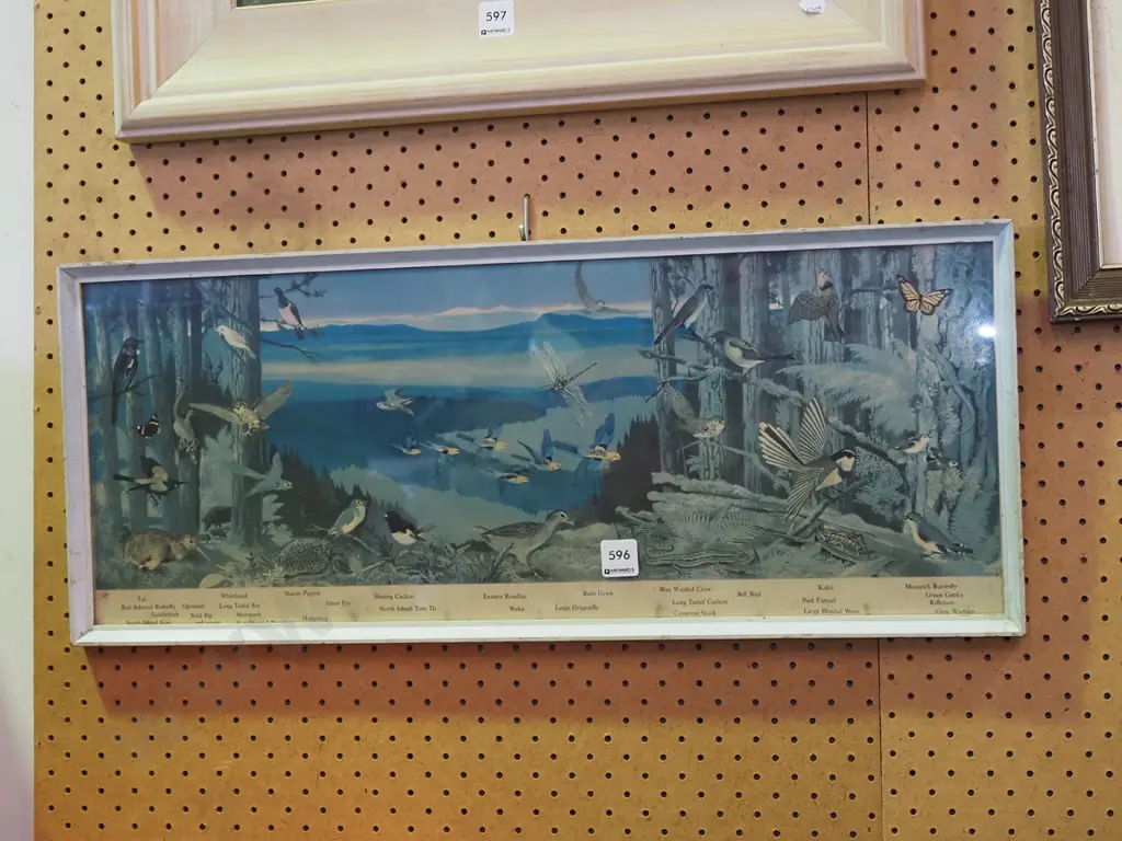 framed print - animals of NZ Image 1++