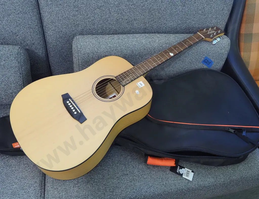 Ashton D20 acoustic guitar and case - very good condition Image 1++