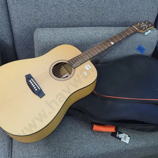 Ashton D20 acoustic guitar and case - very good condition