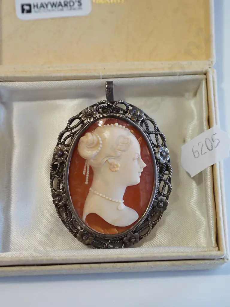 cameo brooch Image 1++