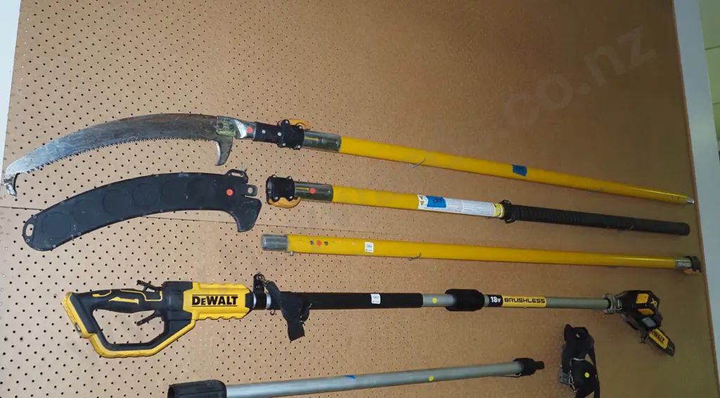 Silky pruning pole saw with 2 extensions - red dots Image 1++
