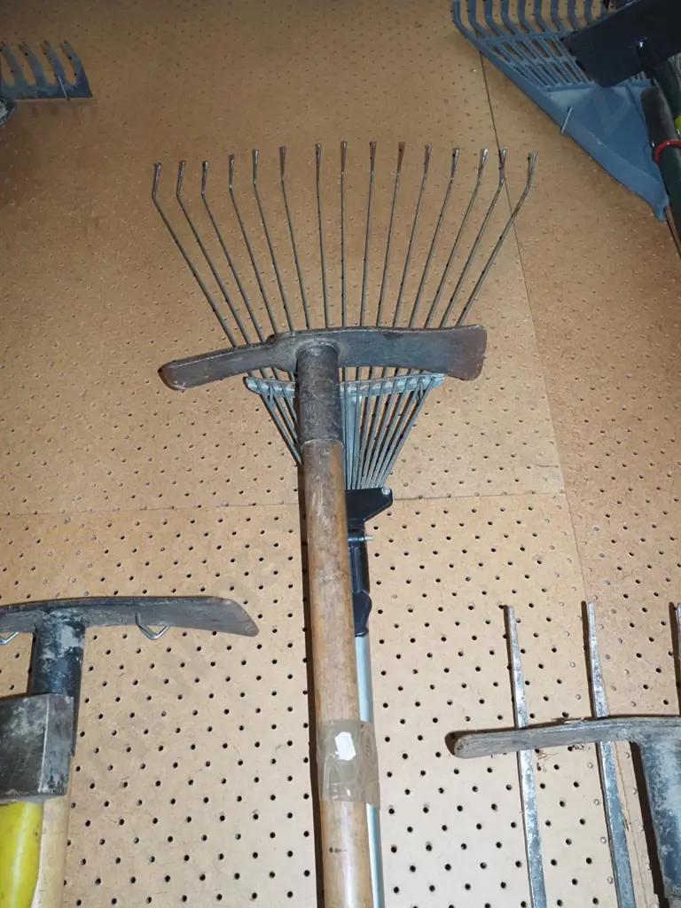 leaf rake, grubber Image 1++