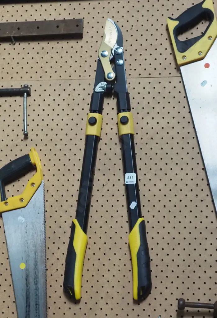 garden loppers   Image 1++
