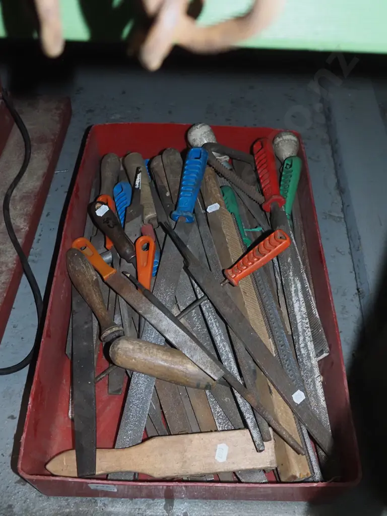 plastic tray of rasps and files Image 1++